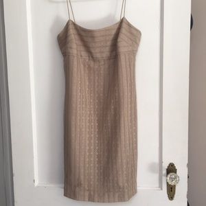 Ann Taylor tan lace party dress